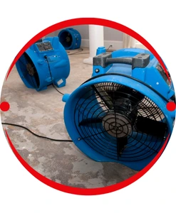 Carpet Water Damage Restoration